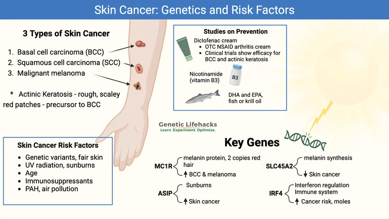 Skin Cancer: Genetics and Risk Factors