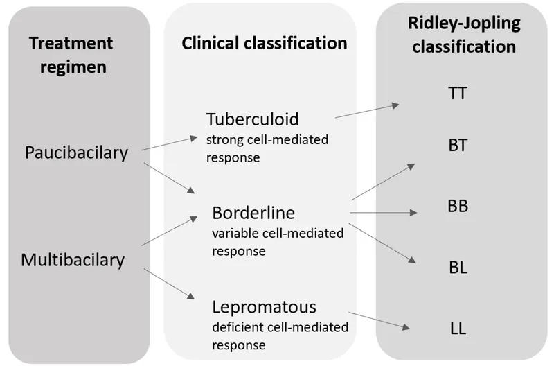 Leprosy Classification and Treatment