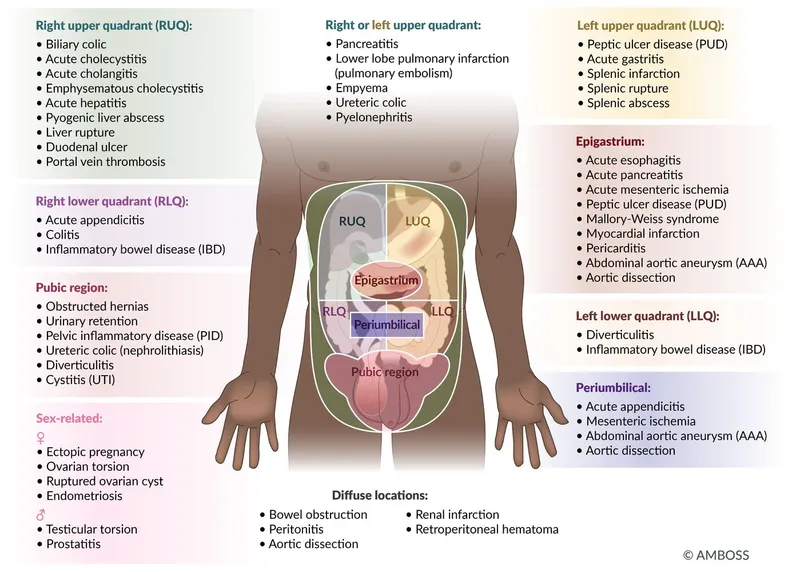 Abdominal Pain by Quadrant and Associated Conditions