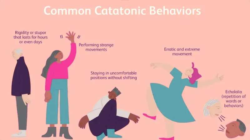 Common Catatonic Behaviors