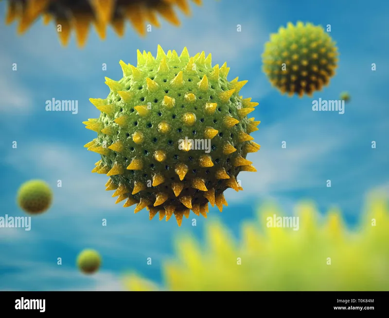 Microscopic view of pollen grains