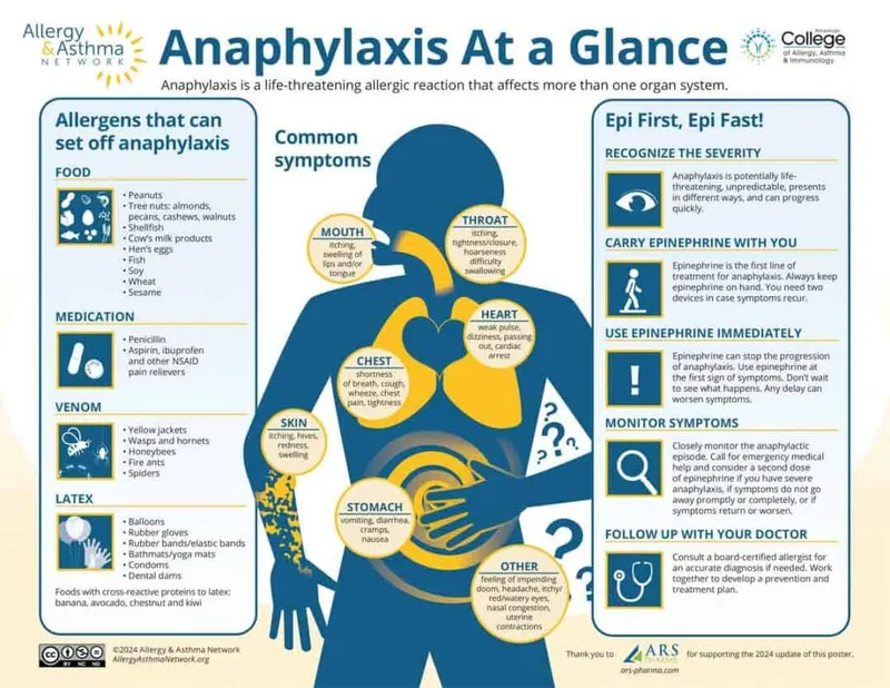 Anaphylaxis: Symptoms, Triggers, and Epinephrine