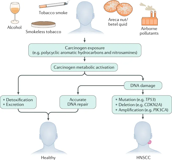 Oral Cancer Carcinogenesis Pathway
