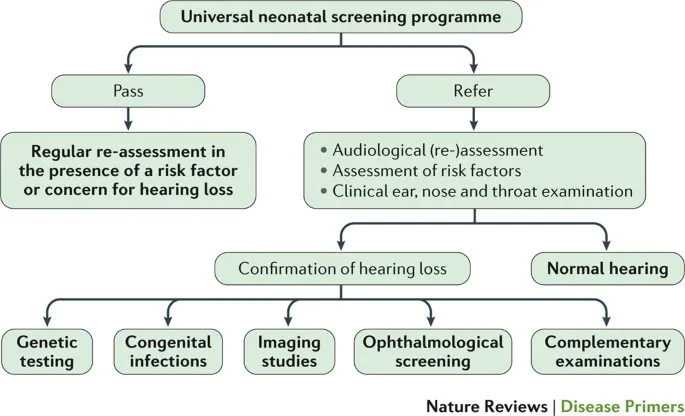 Neonatal hearing screening and assessment