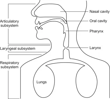 Three subsystems of voice production