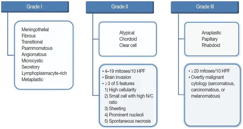 WHO Classification of Meningioma Grades
