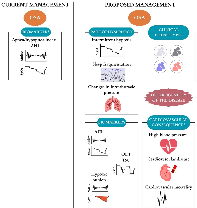 OSA Biomarkers and Cardiovascular Consequences