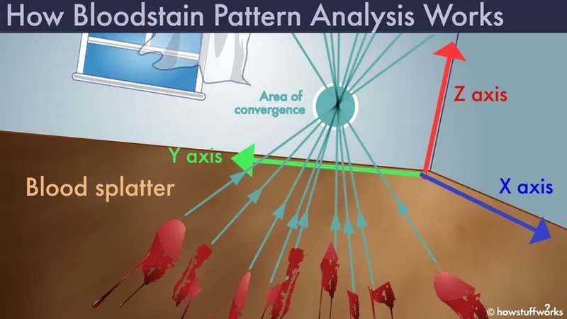 Bloodstain Pattern Analysis Area of Origin
