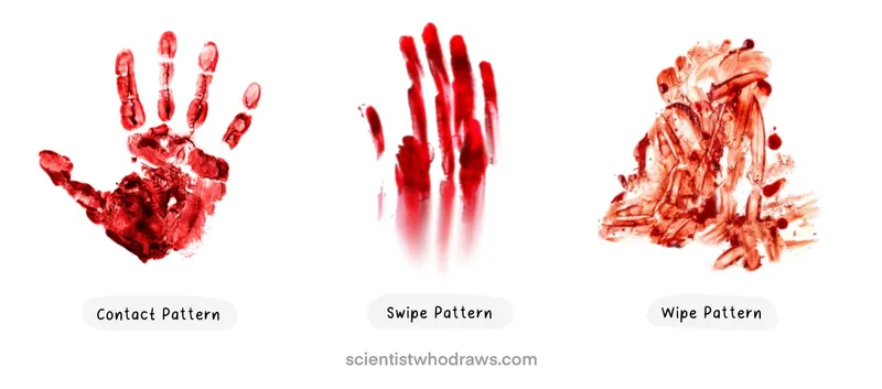 Contact, Swipe, and Wipe Bloodstain Patterns