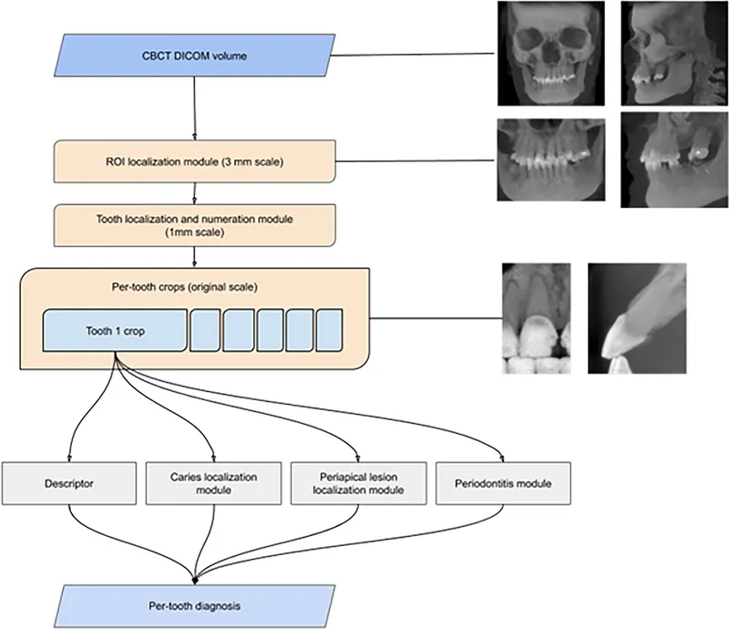 Digital dental forensics workflow
