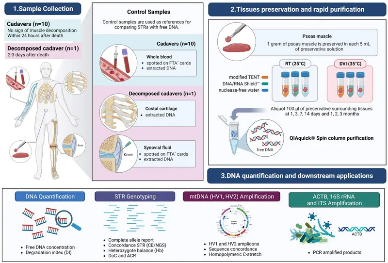 Forensic DNA analysis workflow