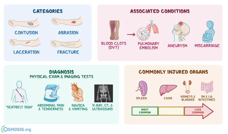 Blunt Force Trauma: Categories, Diagnosis, and Injuries