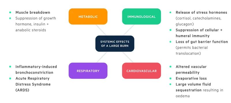 Systemic effects of severe burns diagram