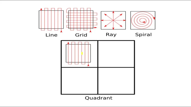 Forensic body search patterns diagram