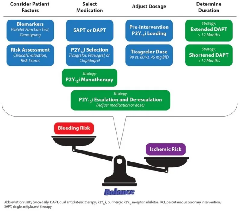 P2Y12 Inhibitor Selection in ACS: Balancing Risks