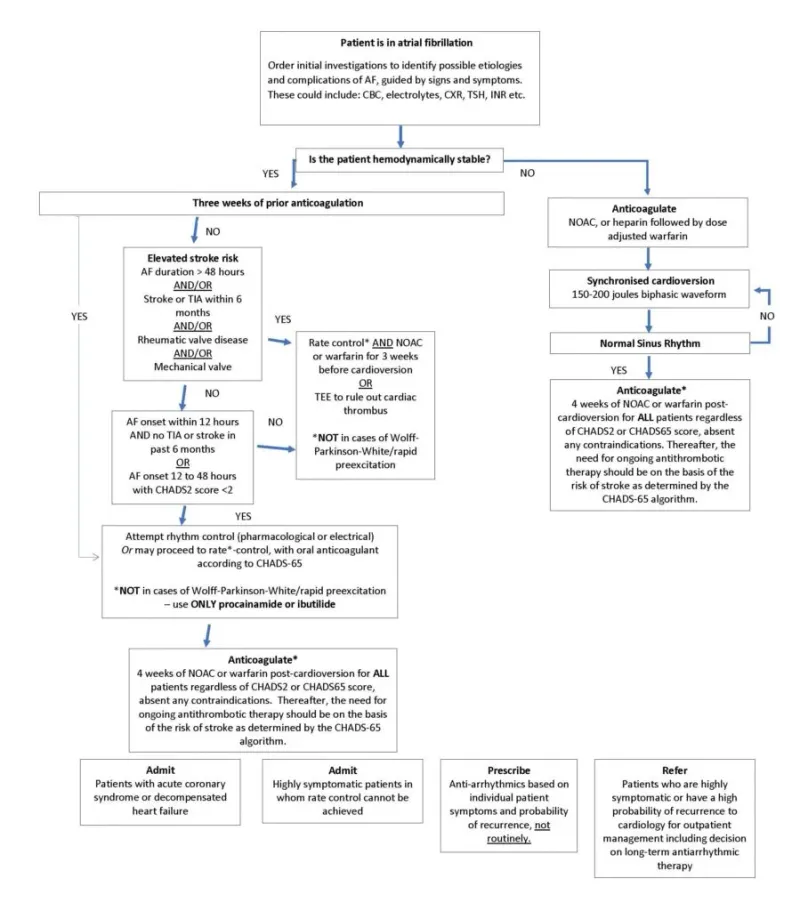 Atrial Fibrillation Management Algorithm