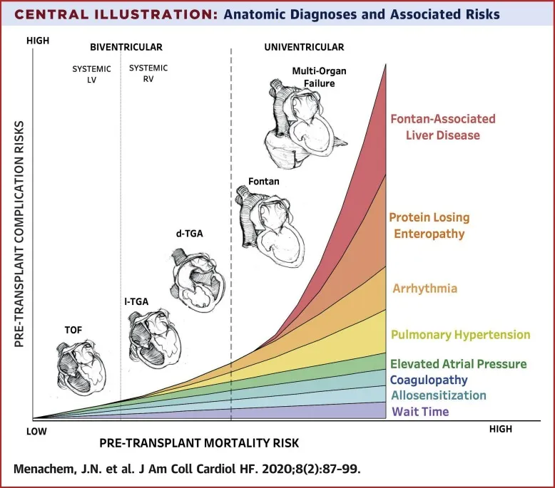 Anatomic Diagnoses and Associated Risks