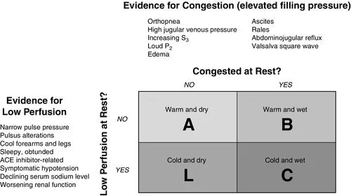 Stevenson Classification for Acute Heart Failure