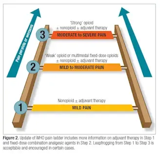 WHO Pain Ladder