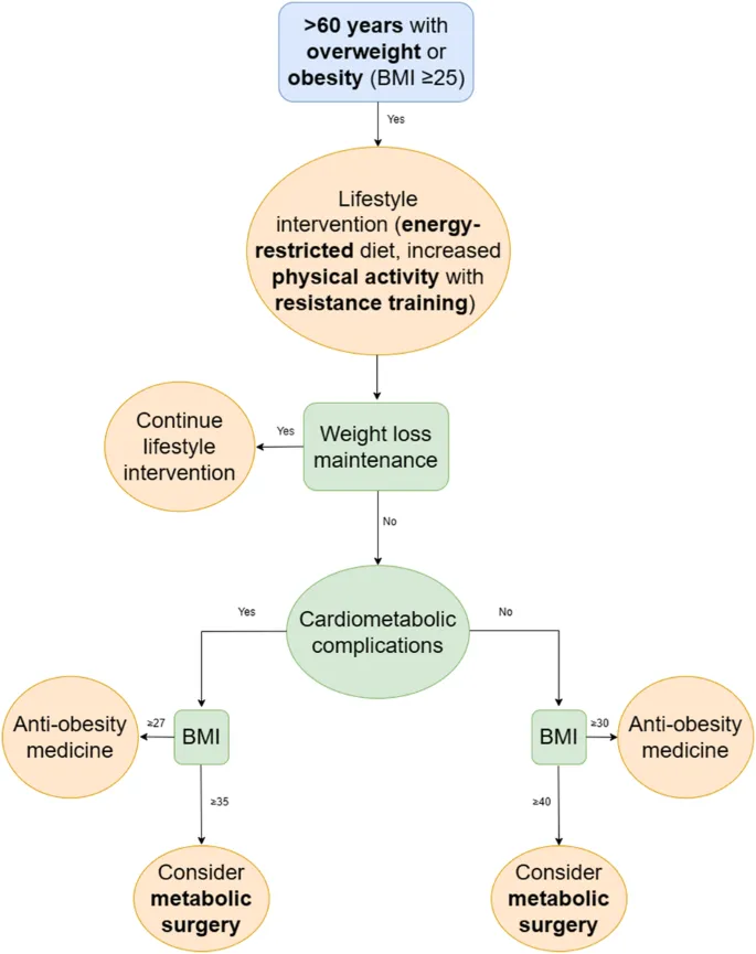 Obesity Management Algorithm for Patients >60 Years