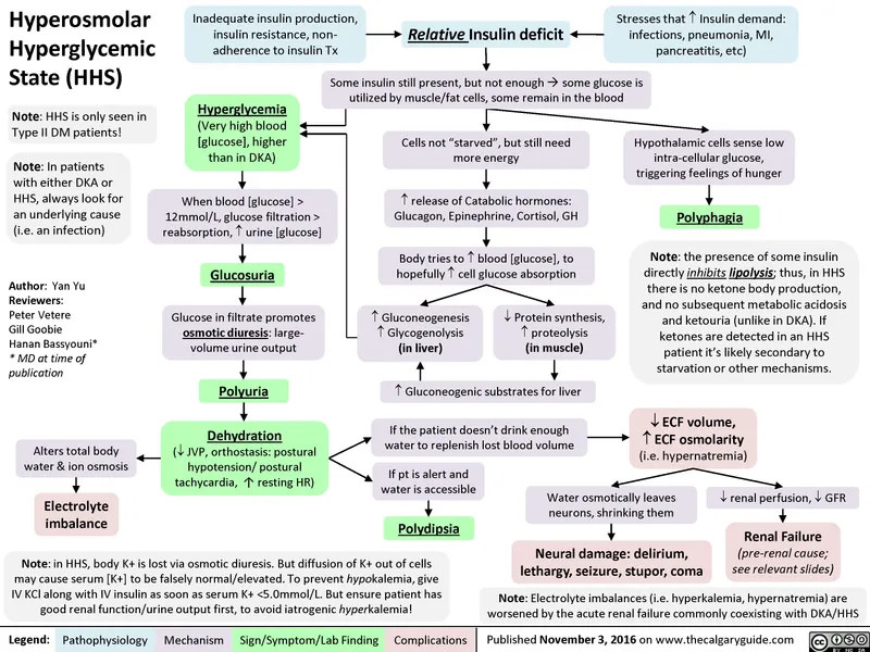 Pathophysiology of Hyperosmolar Hyperglycemic State (HHS)