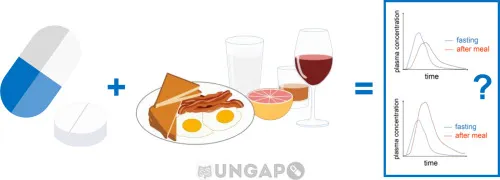 Levothyroxine absorption with food and drink