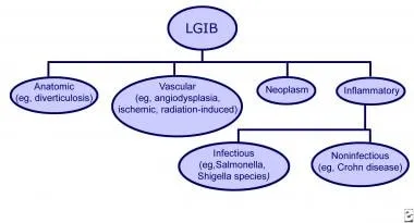 Causes of Lower GI Bleeding (LGIB)