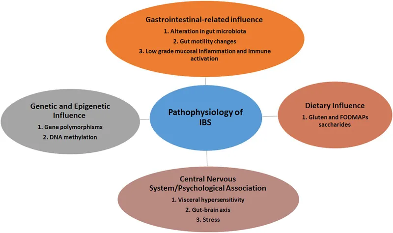 Pathophysiology of IBS: Multifactorial Influences