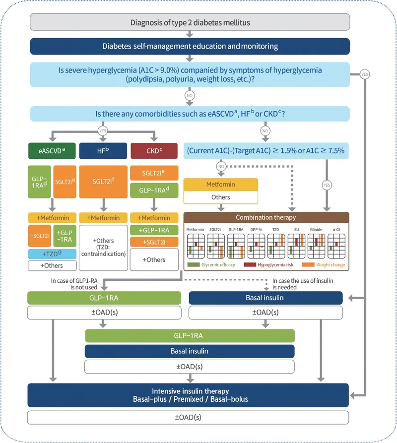 Type 2 Diabetes Mellitus Management Algorithm
