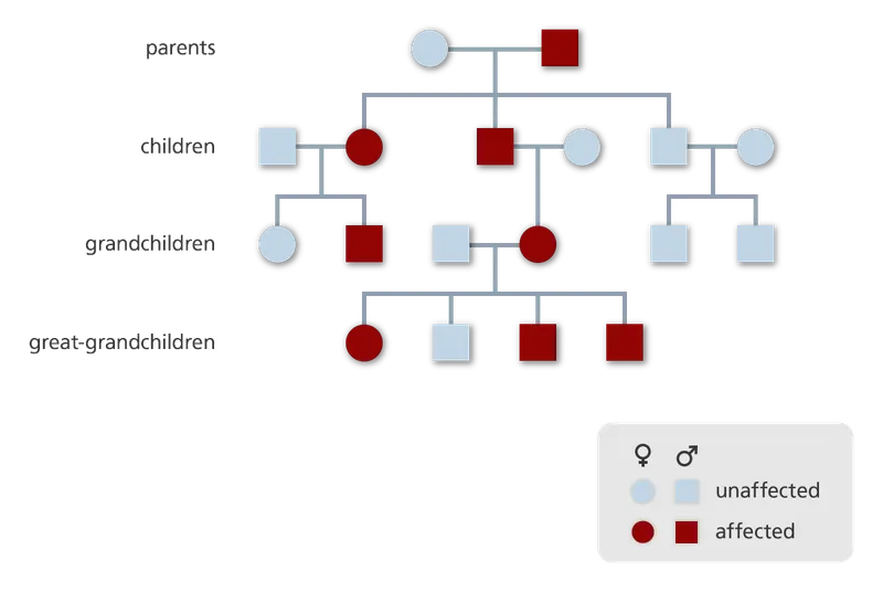 Autosomal Dominant Pedigree Chart