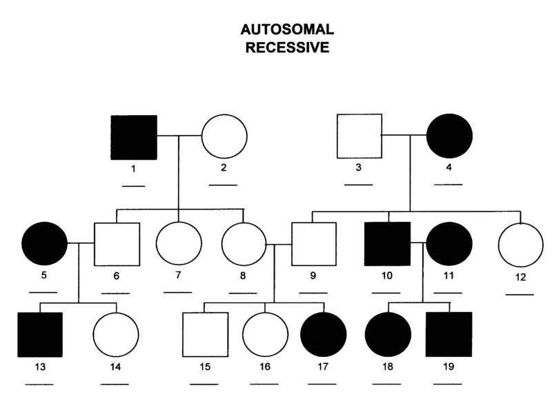 Autosomal Recessive Inheritance Pedigree