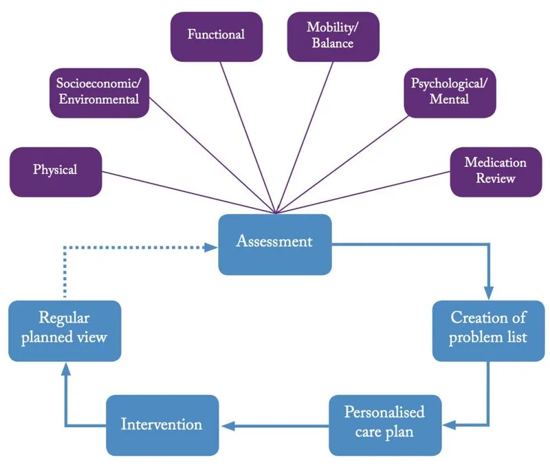Comprehensive Geriatric Assessment Process