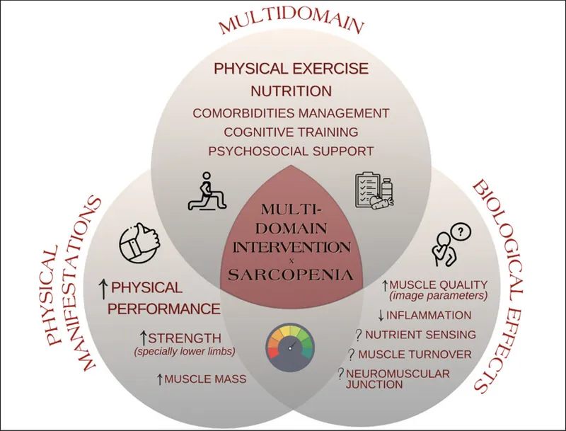Multidomain intervention for sarcopenia