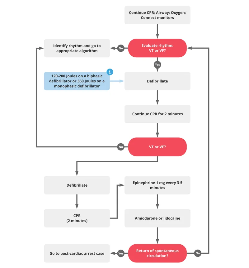 ACLS Algorithm for VF/pVT Shockable Rhythm