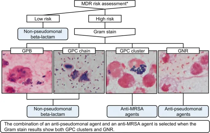 Gram stain results and antibiotic selection