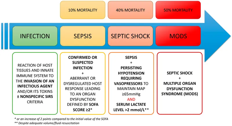 Sepsis progression to septic shock and MODS