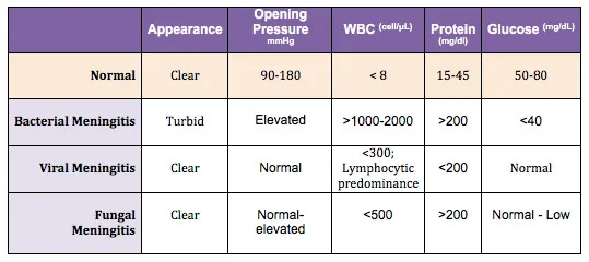 CSF Analysis in Meningitis: Bacterial, Viral, Fungal