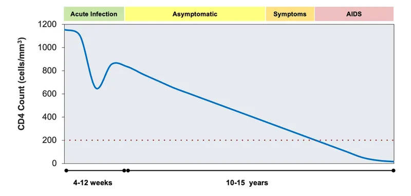 HIV Progression: CD4 Count Over Time