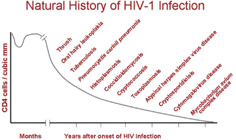 HIV progression & opportunistic infections by CD4 count