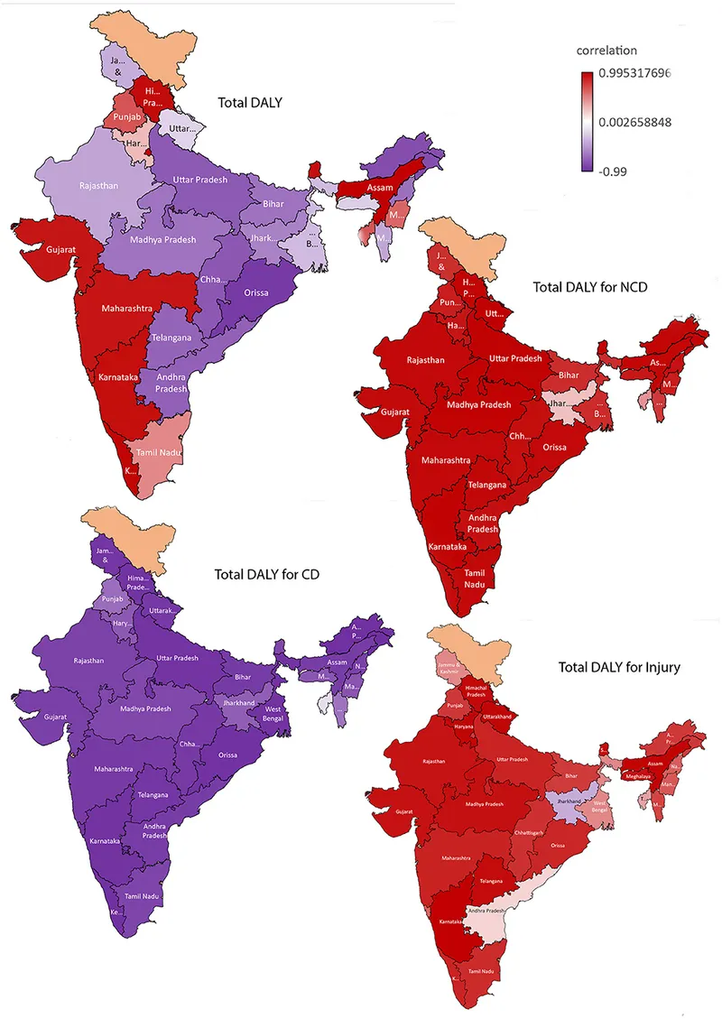 India DALY by State and Cause