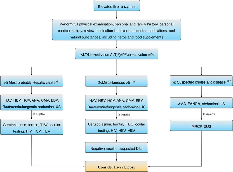 DILI Diagnostic Algorithm