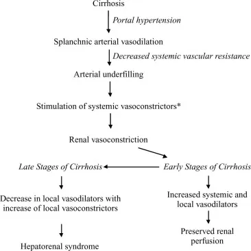 Pathophysiology of Hepatorenal Syndrome