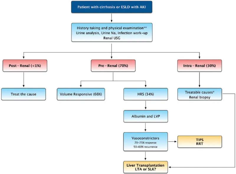 Hepatorenal Syndrome Diagnostic and Management Algorithm
