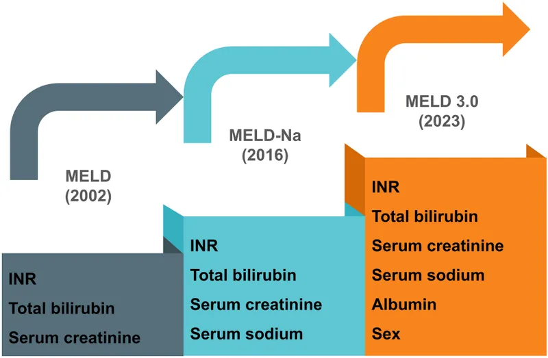 Evolution of MELD, MELD-Na, and MELD 3.0 components