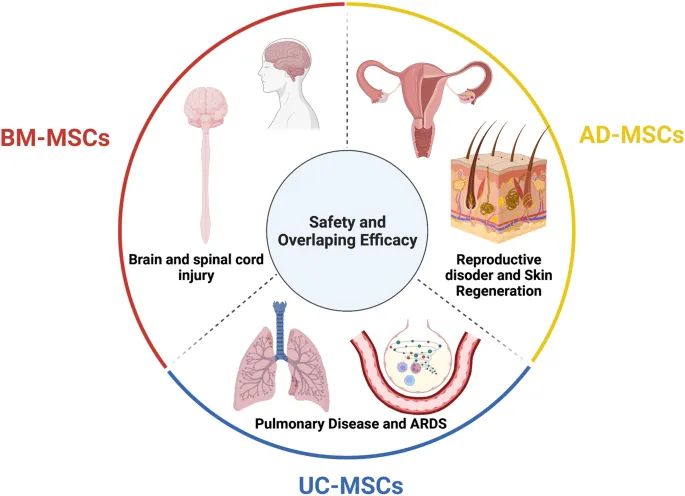 MSC sources and applications in regenerative medicine