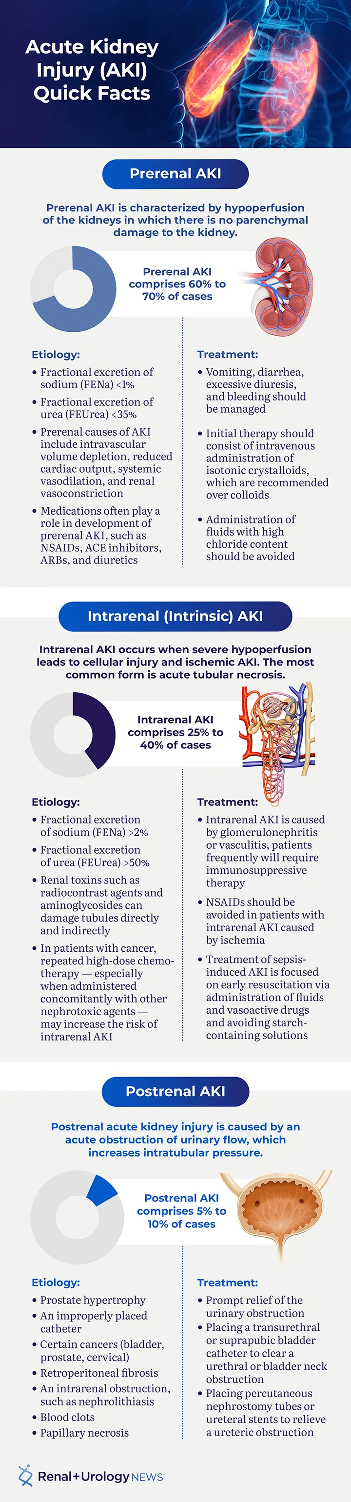 Acute Kidney Injury (AKI) Quick Facts Infographic