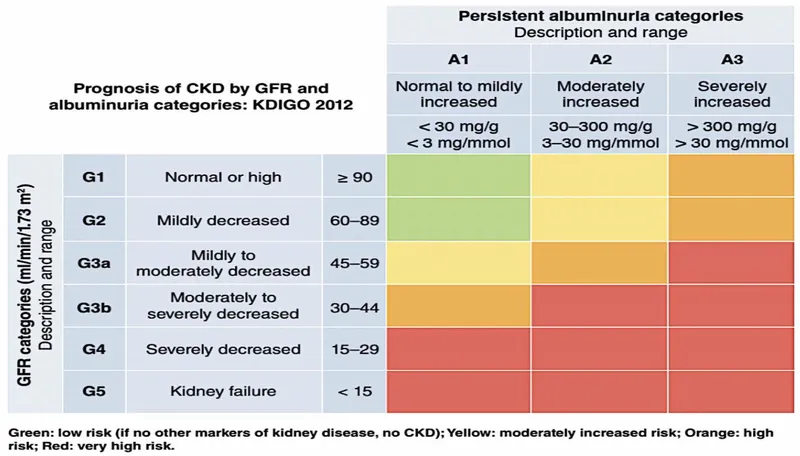 KDIGO 2012 CKD Prognosis by GFR and Albuminuria