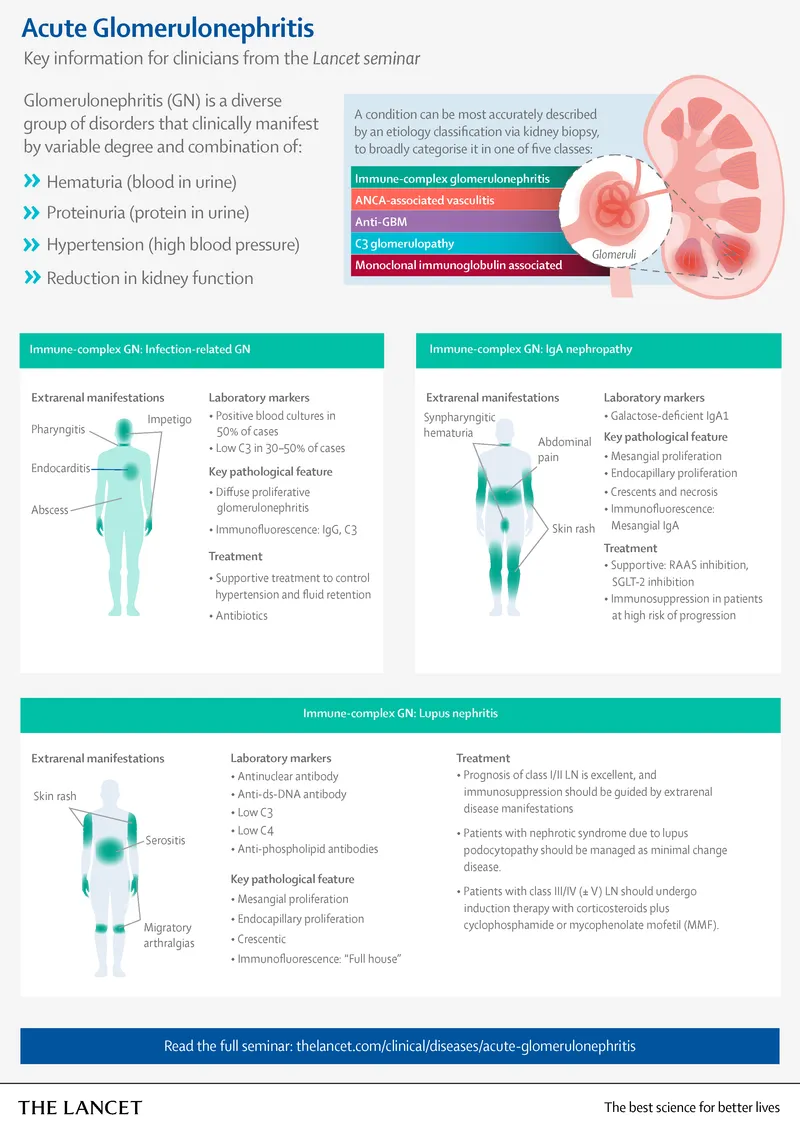 Acute Glomerulonephritis Classification and Management