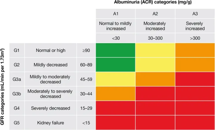 KDIGO CKD Staging by GFR and Albuminuria
