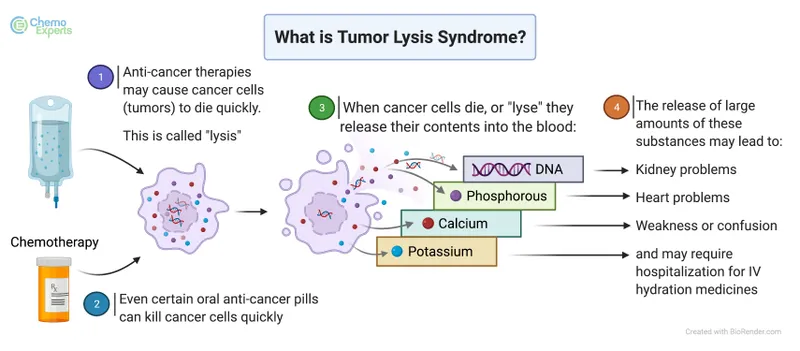 Tumor Lysis Syndrome Mechanism